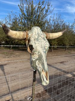 Painted Longhorn Steer Skull Wall Decor