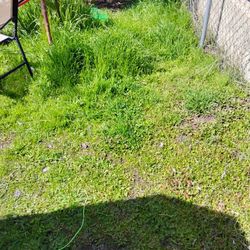 Yard Clean Up 