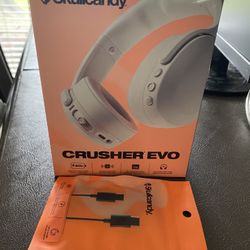 Skullcandy Headphones