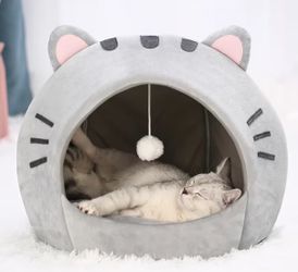 Cat beds 2