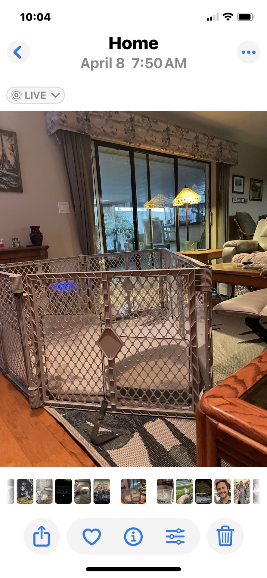 Puppy Corral (pen)
