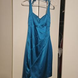 Cache Fitted Dress