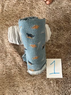 Baby/Toddler Dinosaur Fleece Blanket Set