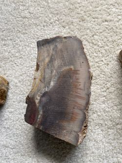 Petrified Wood Chunks