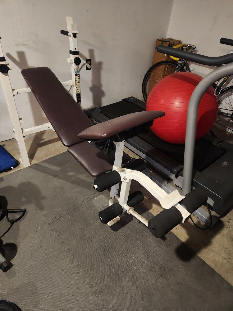 Bench Press 