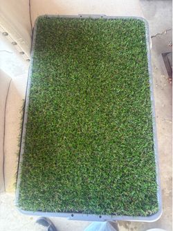 Dog potty pad with tray