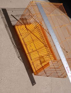 Large bird cage
