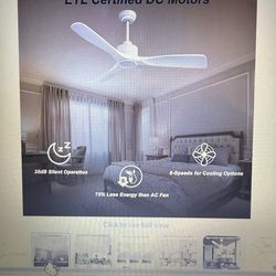 52 inch Smart Ceiling Fan