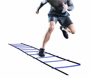 Training ladder