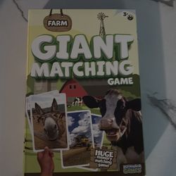 giant matching card game