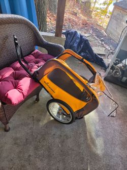 Dog the carrier for back of bicycle