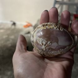 Hand Carved Shell