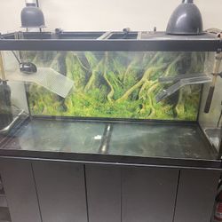 90 Gallon Aquarium With Accessories 