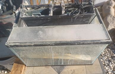 Fish tank