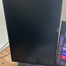 ASUS Monitor