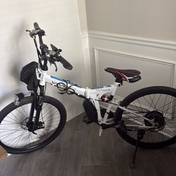 Electric bike