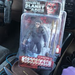 Planet Apes
