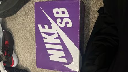 NIKE SB SIZE 11 Ishod Pro Model L Skate Shoes