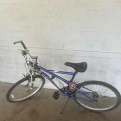 Royce Union Indigo 8TD Bike $50