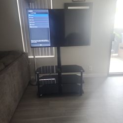 48" Vizio Big Screen With Stand