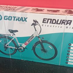 Go Trax Endura 2 Electric Bike