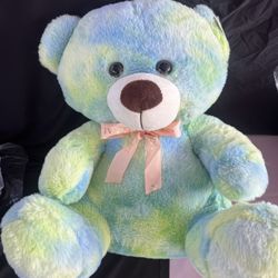 Teddy Bear 2ft 3 Different Colors. Lights Up And Has Music 