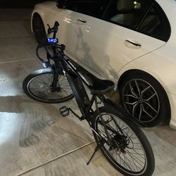 Electric Bike