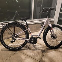 Specialized 3.0 Low Entry