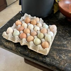 Fresh Eggs Unwashed And Unrefrigerated 