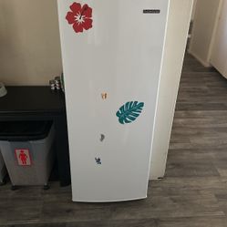 Thomson Stand Up Freezer 