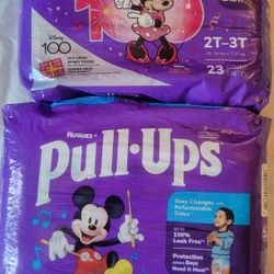 Huggies Pull-ups 2-3T Bulk Discount Offered
