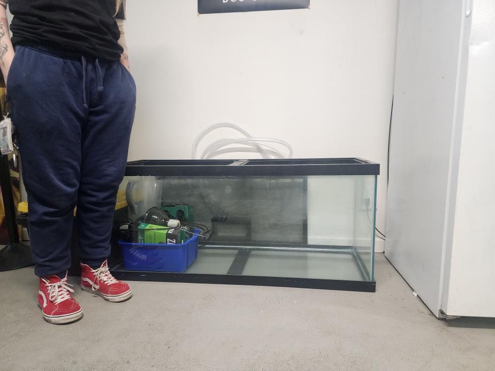 75 Gallon Fish Tank
