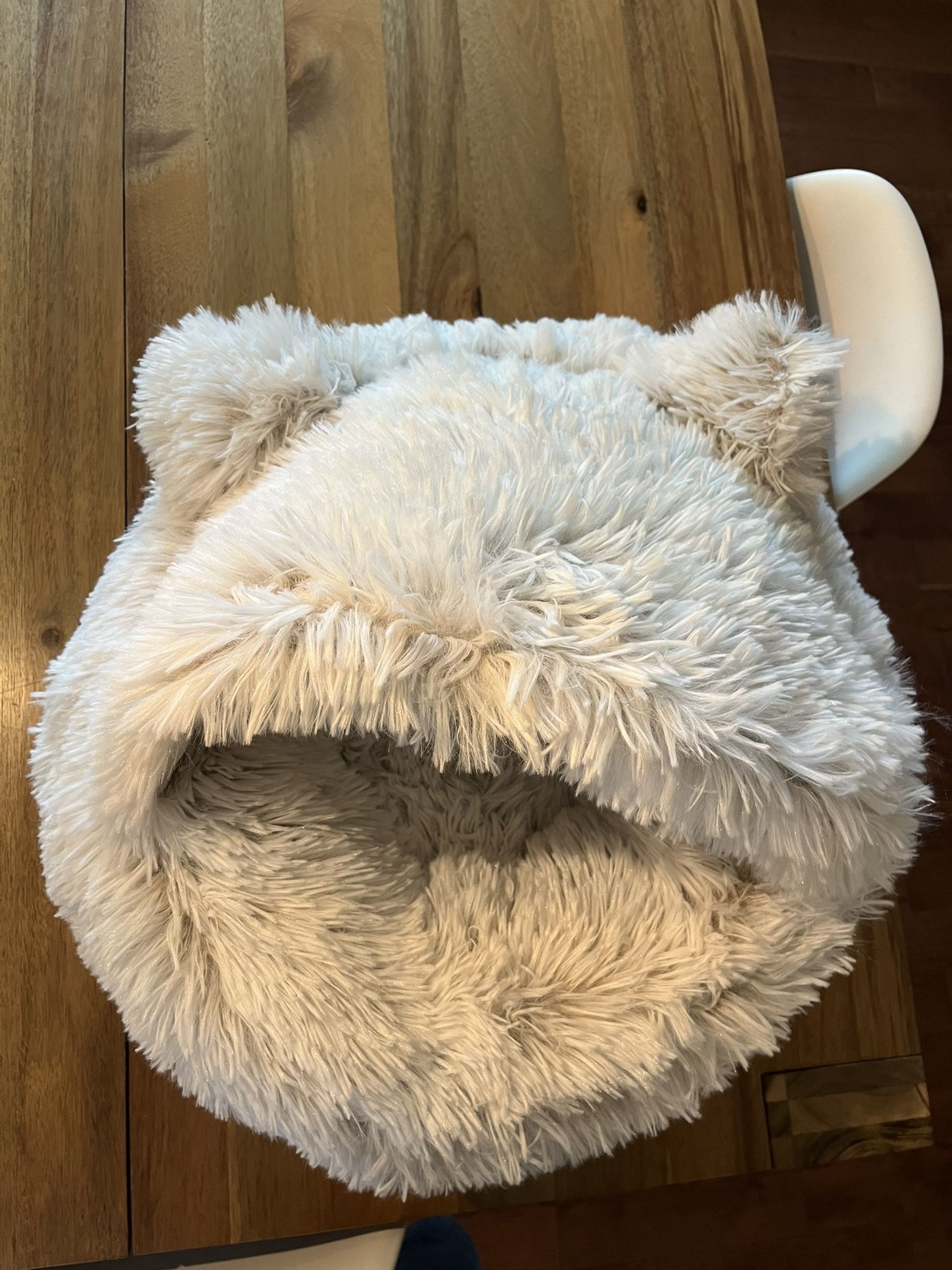 Brand New Cat Bed