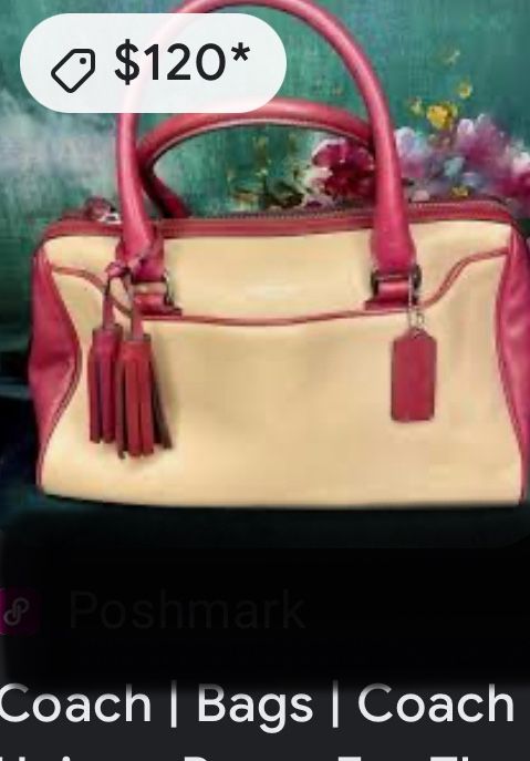 Coach Bag ✨