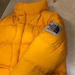 Gucci North Face Collaboration Puffer Jacket.