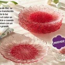 Ordena Tus Set De 8 Platos 