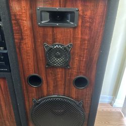 Pro Studio Speakers 