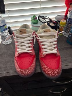 Stingwater Nike sb dunks