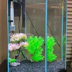 20 Gallon Fish Tank