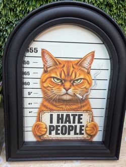 Funny cat picture
