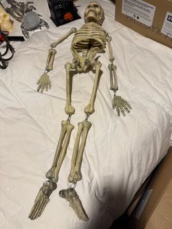 Halloween Decorations. Full Body Plastic Halloween Skeleton Decoration and two smaller Pirate Skeletons
