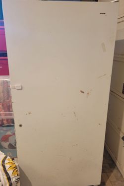 Stand Up Freezer