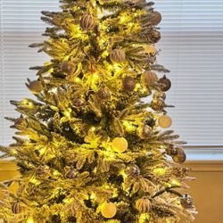 Christmas Tree 