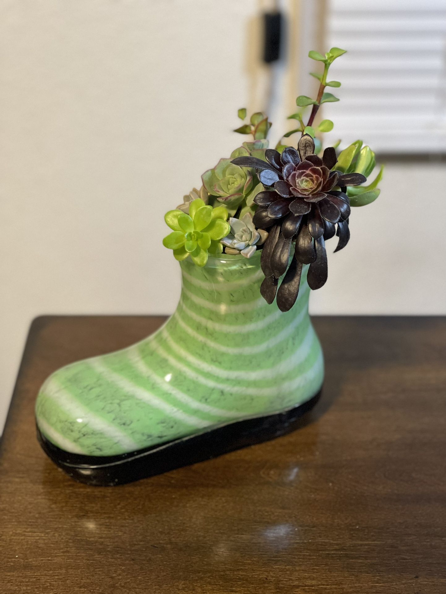 Succulent Arrangement