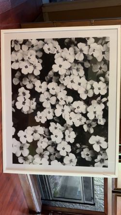 Black And White Flower Picture Decor