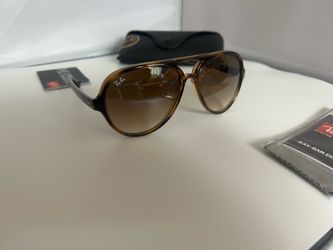 ray ban cats