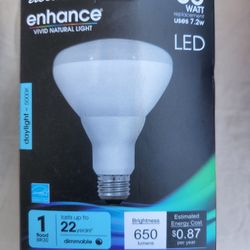Light Bulbs