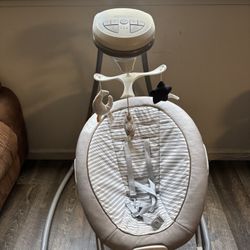 Baby Swing & Car Seat