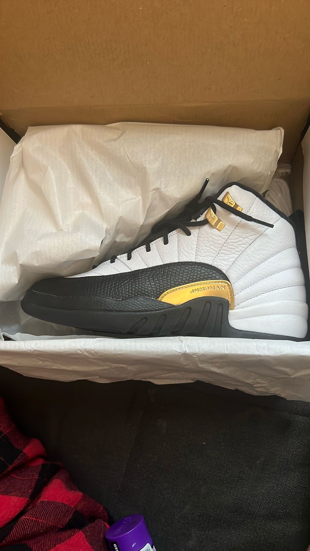 Air Jordan 12 Retro 