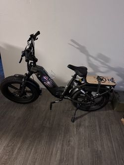 Pioneer Long Range Electric Bike